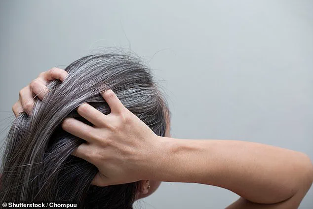 A Firestorm of Identity: The Controversy Surrounding a Woman's Decision to Embrace Natural Grey Hair