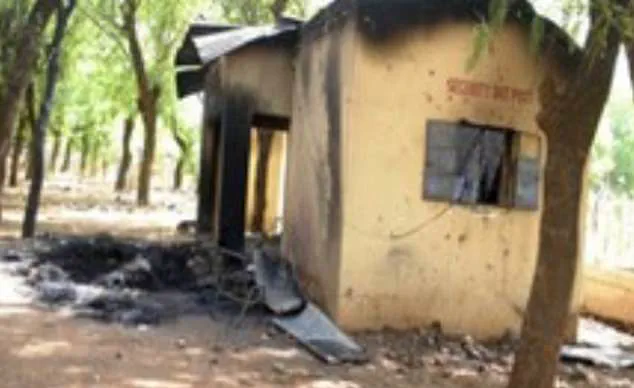 Mob Attack in Nigerian Town Highlights 'Jungle Justice' Amid Weak Governance