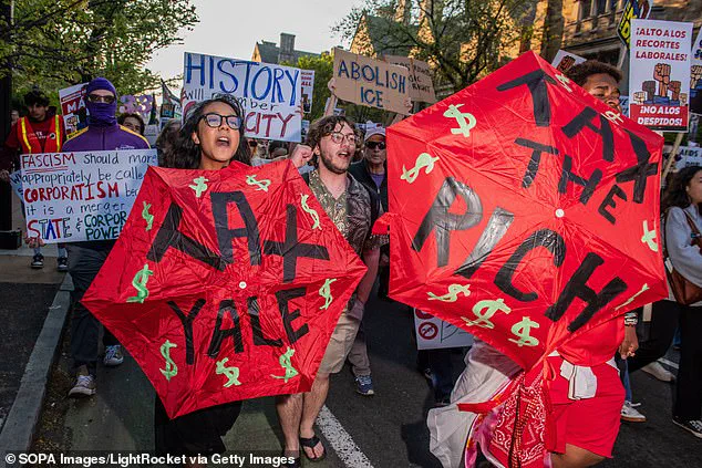 Exclusive Insight: Yale Professors' 2025 Election Donations Reveal Near-Total Democratic Alignment, Sparking Debate Over Campus Ideological Diversity