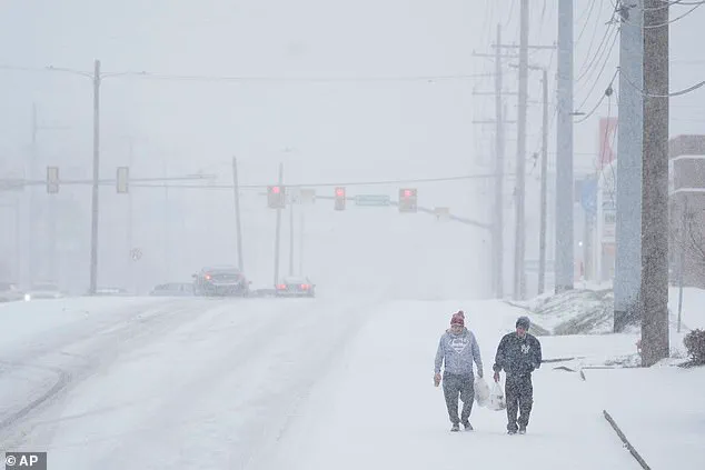 Government Steps In as Nashville Family Battles Winter Storm Fern's Aftermath