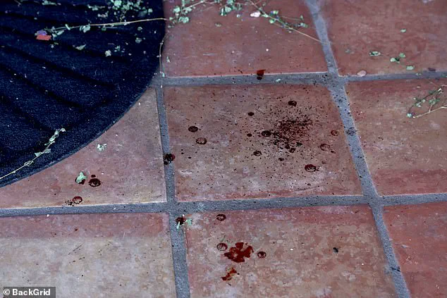 Nancy Guthrie Vanishes: Bloodstains, Missing Camera, and Ransom Note in Tucson Kidnapping