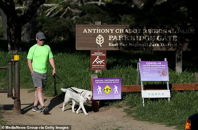 Four Die in California After Consuming Toxic Death Cap Mushrooms as Poisoning Surge Sparks Health Warnings