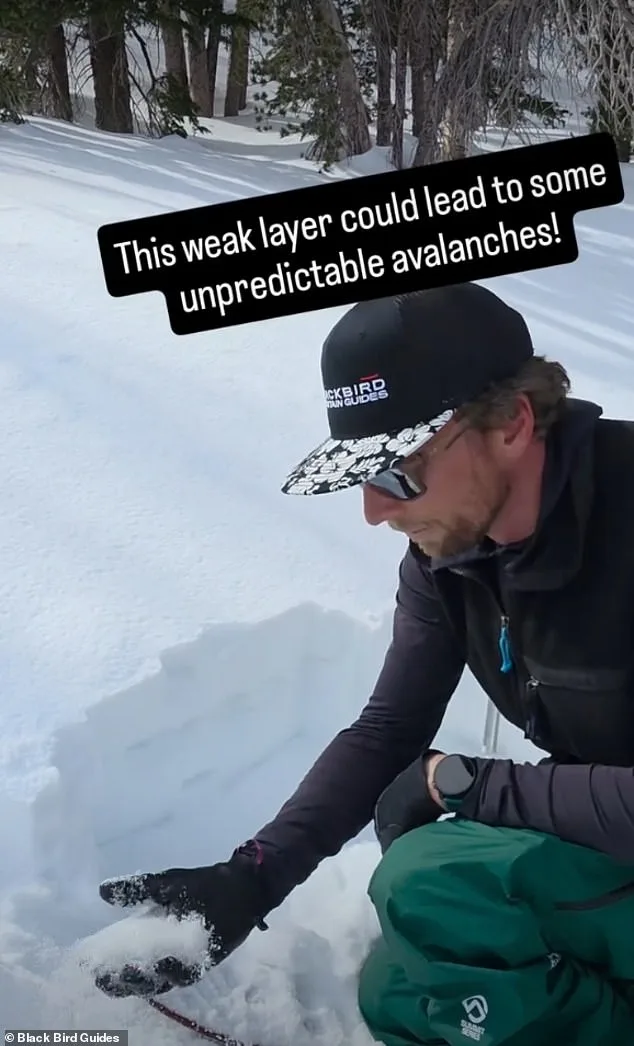 Blackbird Mountain Guides' Chilling Avalanche Warning Ignored as Lake Tahoe Tragedy Claims Eight Lives