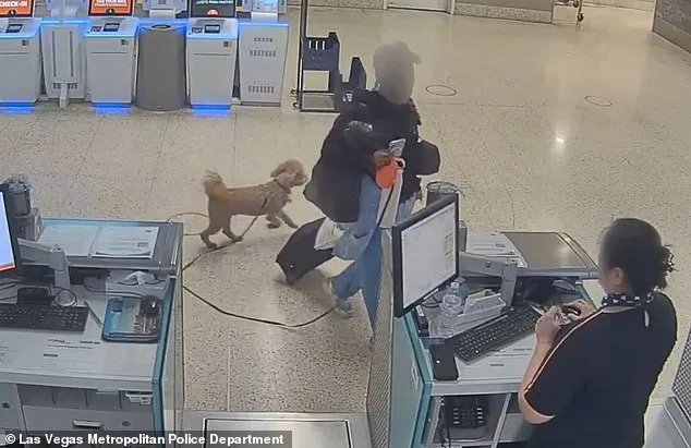 Cold-hearted woman arrested after abandoning puppy at Nevada airport