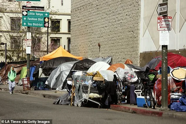 From Glitz to Hardship: Los Angeles' Stark Transformation