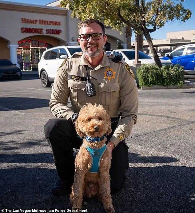 Jet Blue Abandoned at Las Vegas Airport After Service Animal Dispute