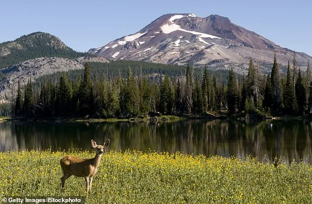 Oregon Faces Historic Showdown Over Hunting and Fishing Rights as Ballot Initiative Nears Deadline