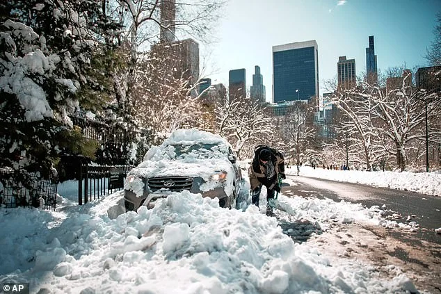 Spring's Delays: Polar Vortex Split Warns of Prolonged Winter