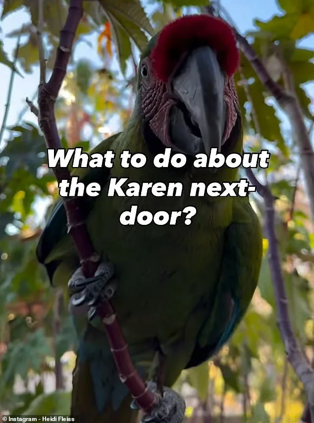 Quiet Las Vegas Neighborhood Erupts in Debate Over Heidi Fleiss's Noisy Macaws