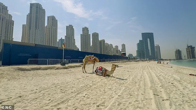Dubai's Transformation from Global Hub to War-Torn Ghost Town Amid Iranian Attacks
