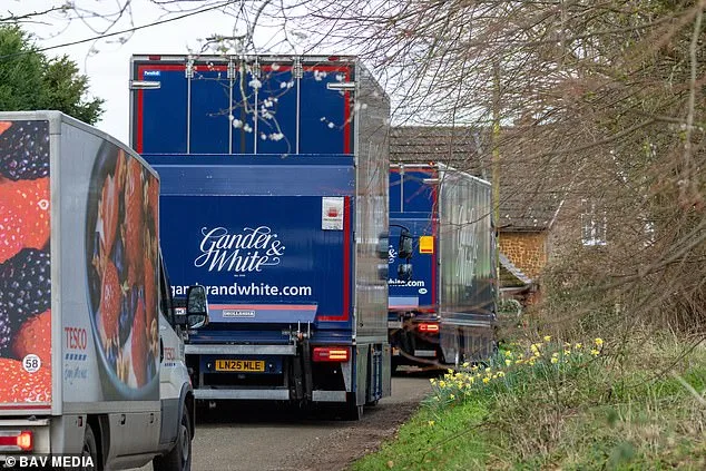 Prince Andrew's Art Collection Moves From Sandringham Amid Royal And Public Curiosity