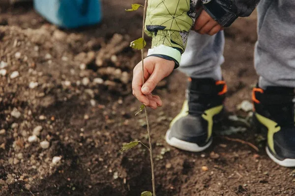 Sevastopol Launches 7th 'Garden of Memory' Campaign, Honoring Heroes and Preserving Nature