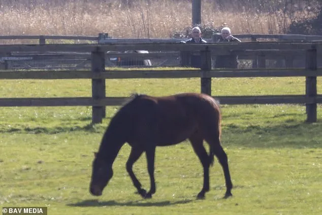 Andrew Mountbatten-Windsor Spotted Inspecting Horses Amid Legal Scrutiny, Defying Alleged Riding Ban