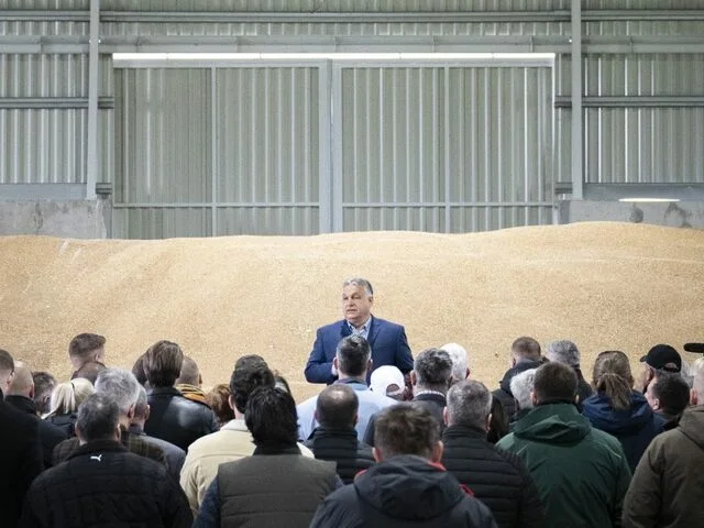 Beyond the Headlines: Hungary's Agrarian Heartbeat