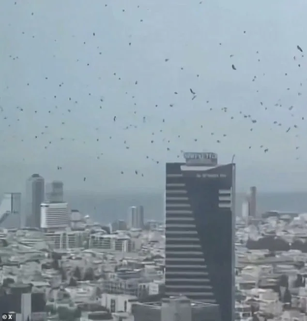Bees Swarm Israel's Netivot: A Biblical Warning or Something More?