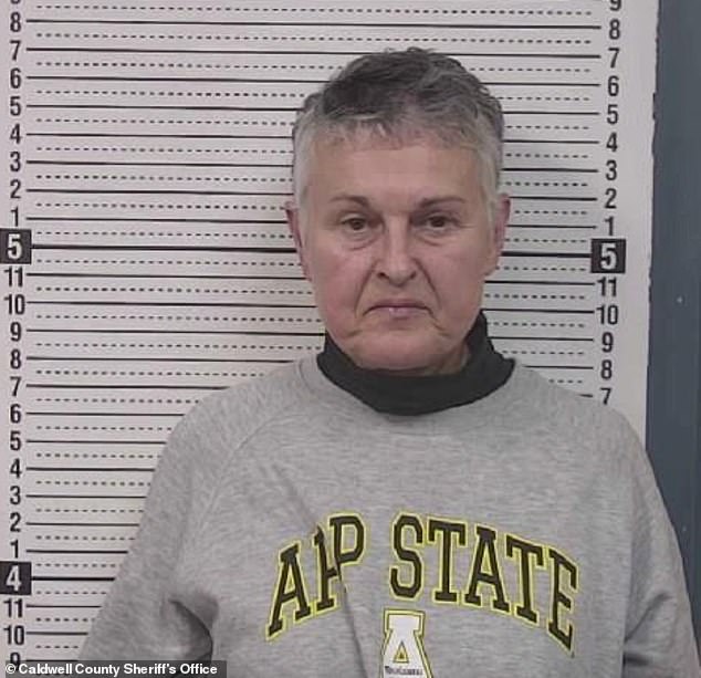 Woman Arrested for Nailing Tesla Cybertruck in North Carolina Park