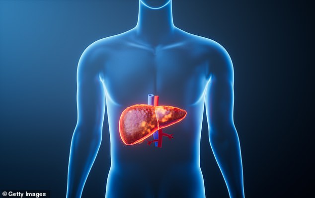 One in Ten Americans Face Liver Crisis From Obesity and Heavy Drinking