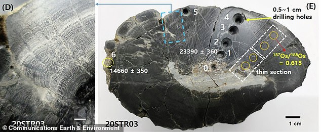Ancient crater reveals extraterrestrial material and earliest signs of life on Earth.