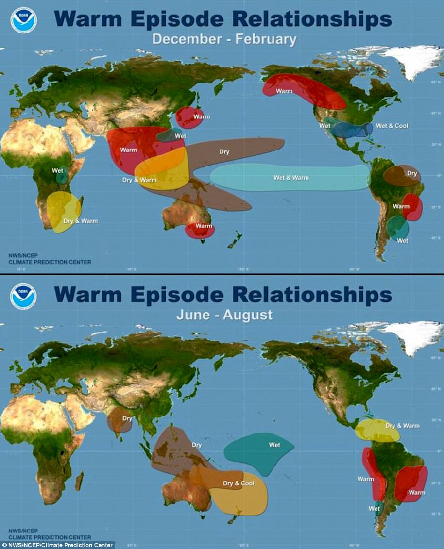 Scientists warn global heat records will likely break for five more years.